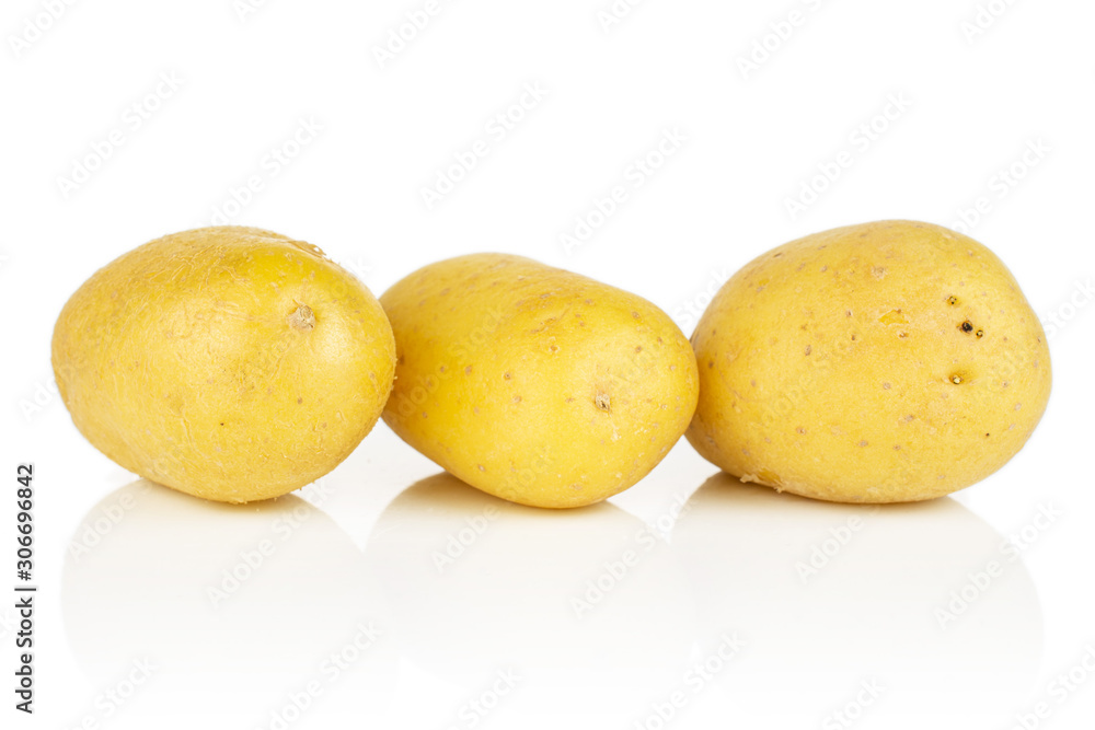 Group of three whole pale yellow potato in row isolated on white background Group of three whole pale yellow potato in row isolated on white background