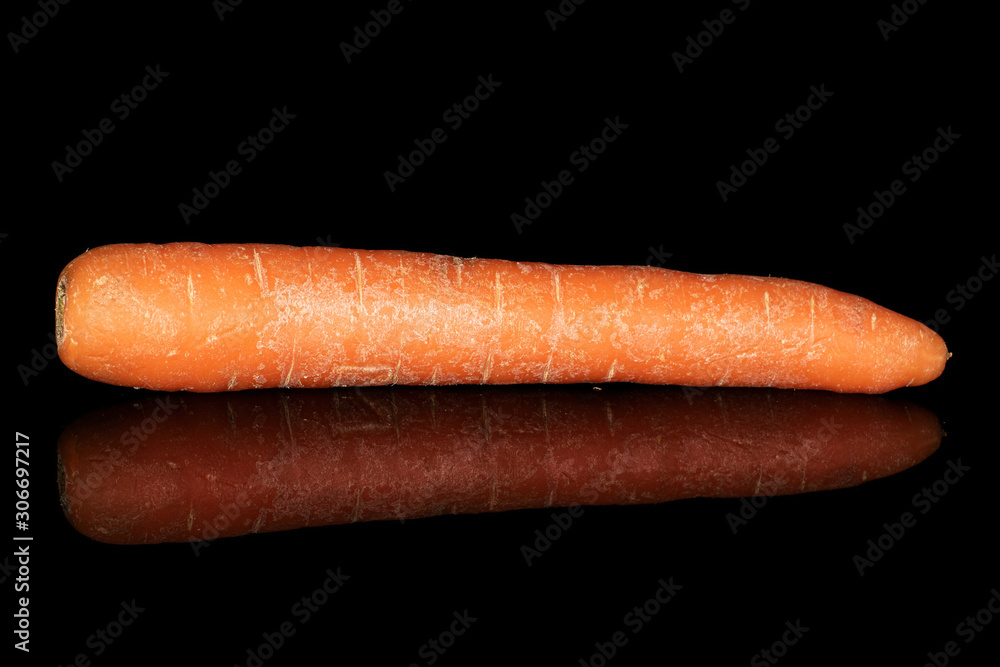 One whole fresh orange carrot isolated on black glass One whole fresh orange carrot isolated on black glass