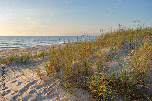 wild beach Sand dunes and dune grass at sunset,