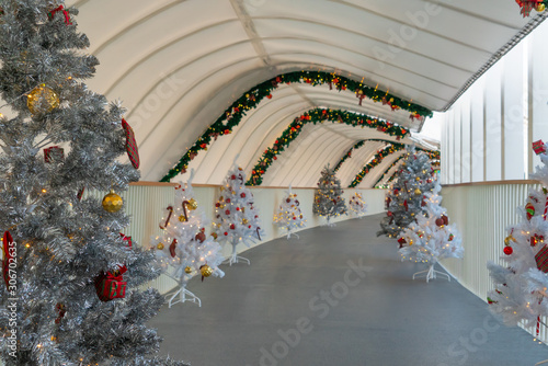 Christmas tree decoration along walkway in city center in Christmas festival of December 2019. photo