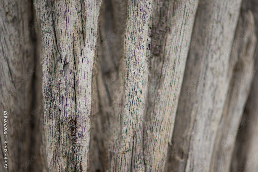 Closed up old wood texture show meterial of background Closed up old wood texture show meterial of background