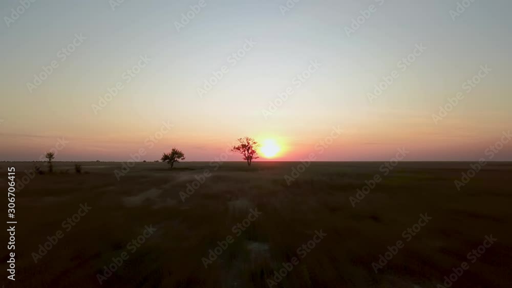 aerial view of Tree at sunset in prairie, Lonely tree at sunset in prairie, tree at sunset in the steppe, sunset in prair aerial view of Tree at sunset in prairie, Lonely tree at sunset in prairie, tree at sunset in the steppe, sunset in prair