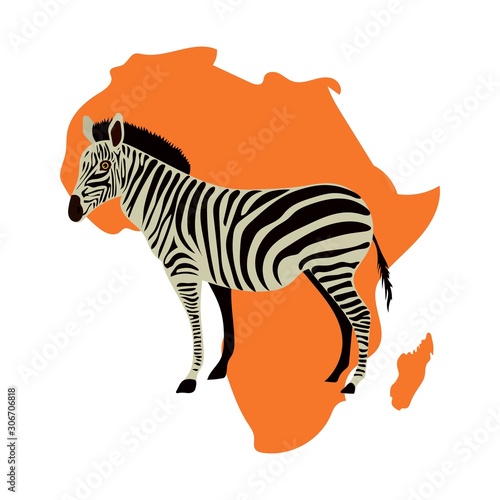 Zebra vector on white background map