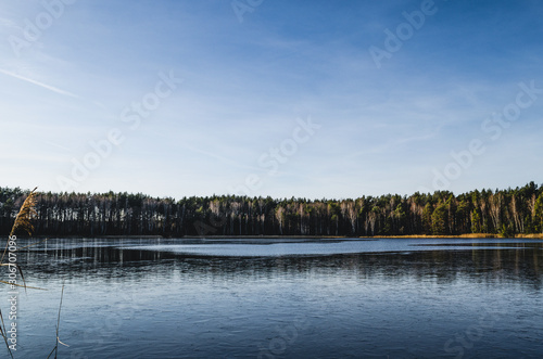 Beautiful bewitching view of the lake. View of the lake on a sunny frosty day.