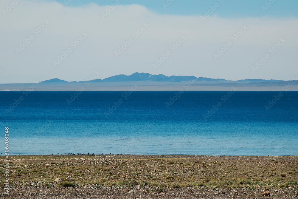dark-blue waters of steppe lake, flock of wild birds on the shore, mountain range in the distance, sunny day, Mongolia