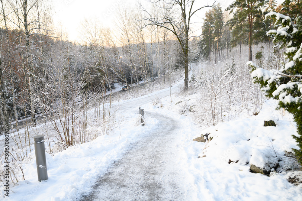 Winter road Winter road