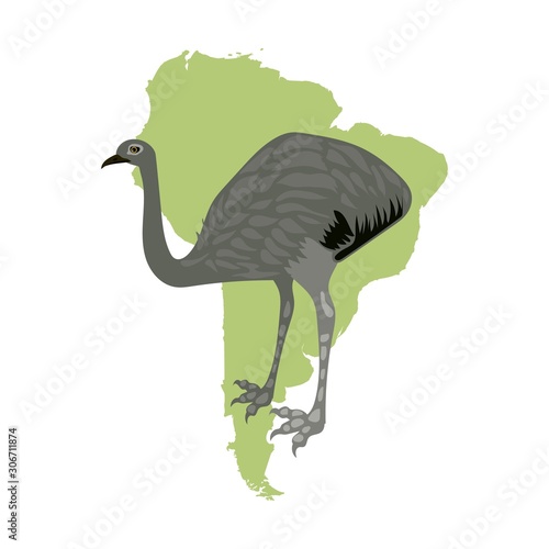 ostrich on white background vector map