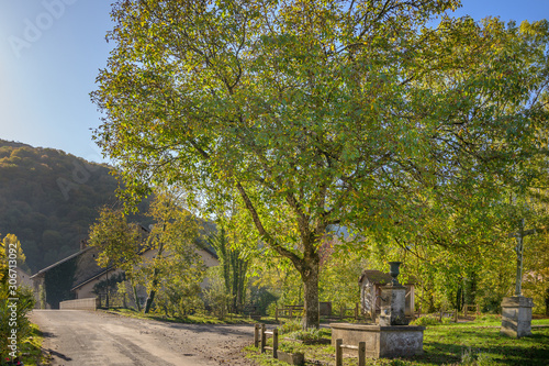 Autumn sunrise light at Les Planches-près-Arbois, in the Jura Department in France.