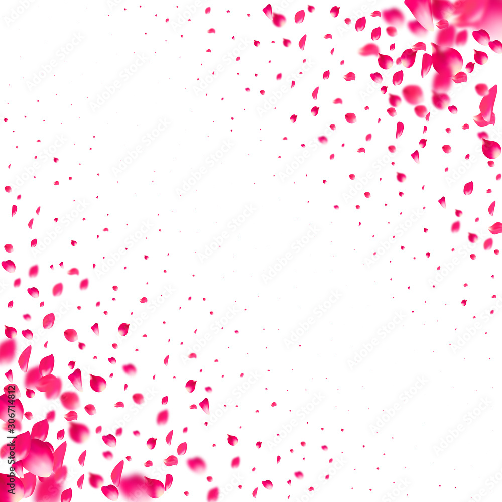 Pink falling petals wind. Sakura or rose flower pastel texture background. Pink falling petals wind. Sakura or rose flower pastel texture background.