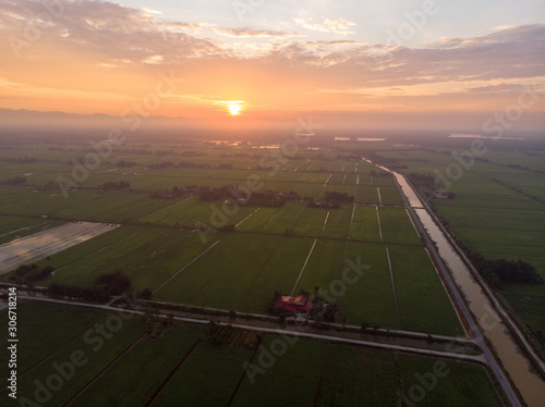 An aerial shot of warming sunrise over the green paddy field. Noise existed in a drone photography. photo
