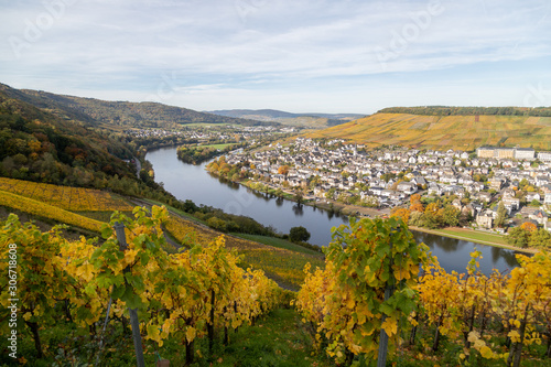 Bernkastel-Kues and the river Moselle in autumn with multi colored vineyard in the foreground