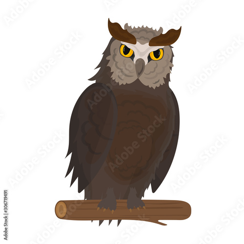 Owl vector illustration, highly detailed owl. Field owl, gueda, Owl, wild forest bird. Flying creatures. Elements for an ornithology book photo