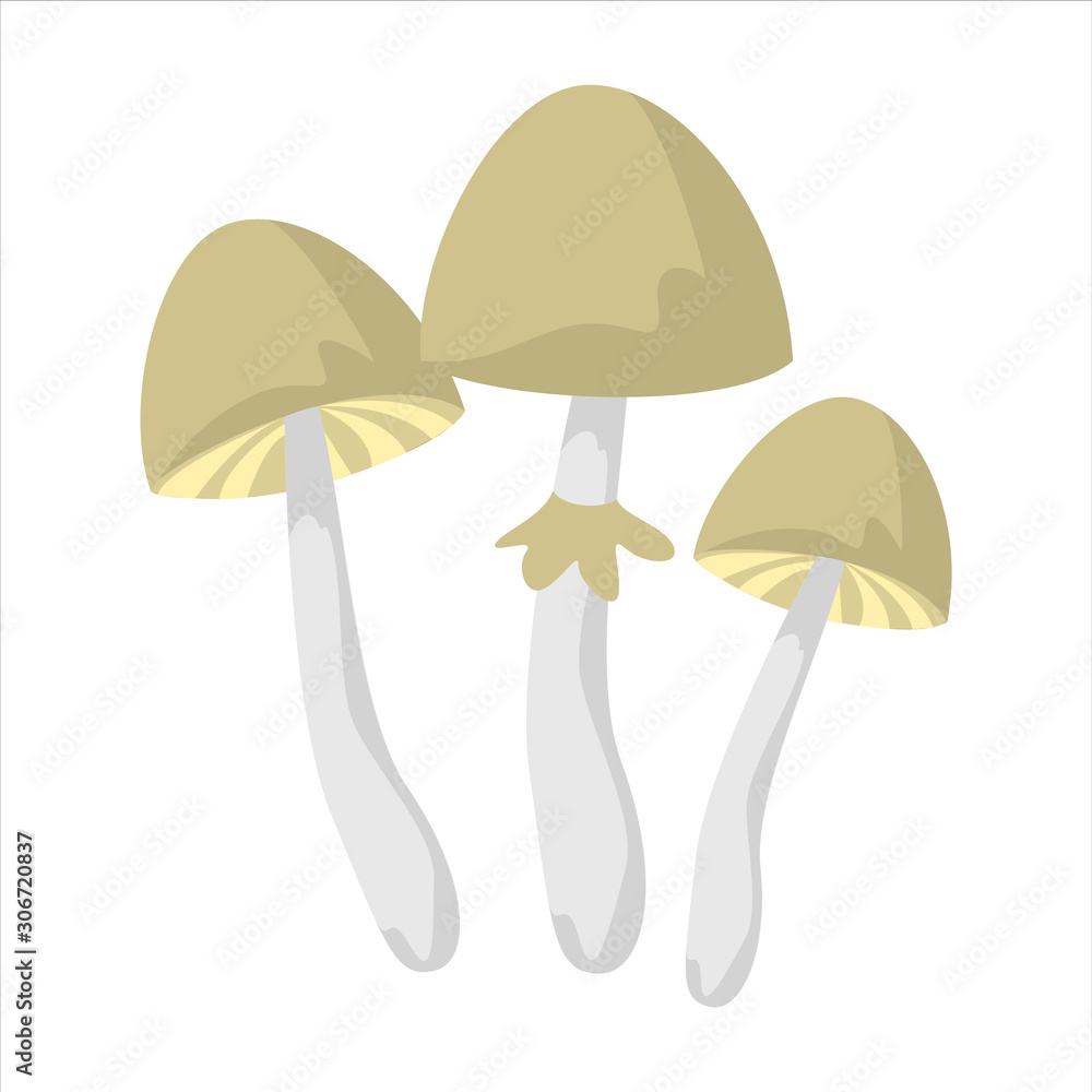 Mushroom drug vector isolated. Psilobycin, psychedelic fungus. Mushroom drug vector isolated. Psilobycin, psychedelic fungus.