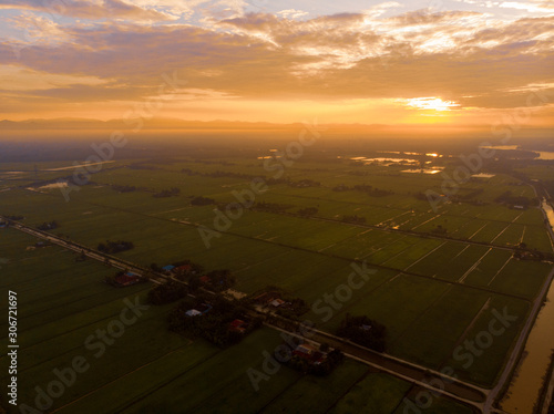 An aerial shot of warming sunrise over the green paddy field. Noise existed in a drone photography. photo