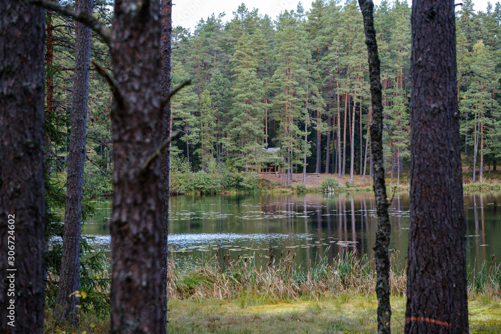 Obraz premium small forest lake in countryside with water reflections