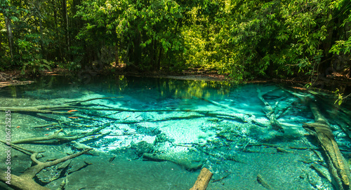 Fototapeta Naklejka Na Ścianę i Meble -  Emerald Pool Krabi Thailand