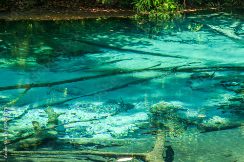 Fototapeta Naklejka Na Ścianę i Meble -  Emerald blue pool (Sra Morakot) Krabi Thailand.