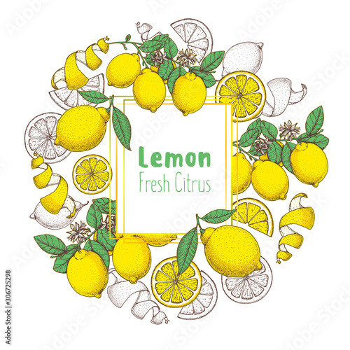 Fresh lemon hand drawn package design. Vector illustration. Lemon label for lemonade design, brochure illustration. Colorful design. Citrus lemon label illustration.