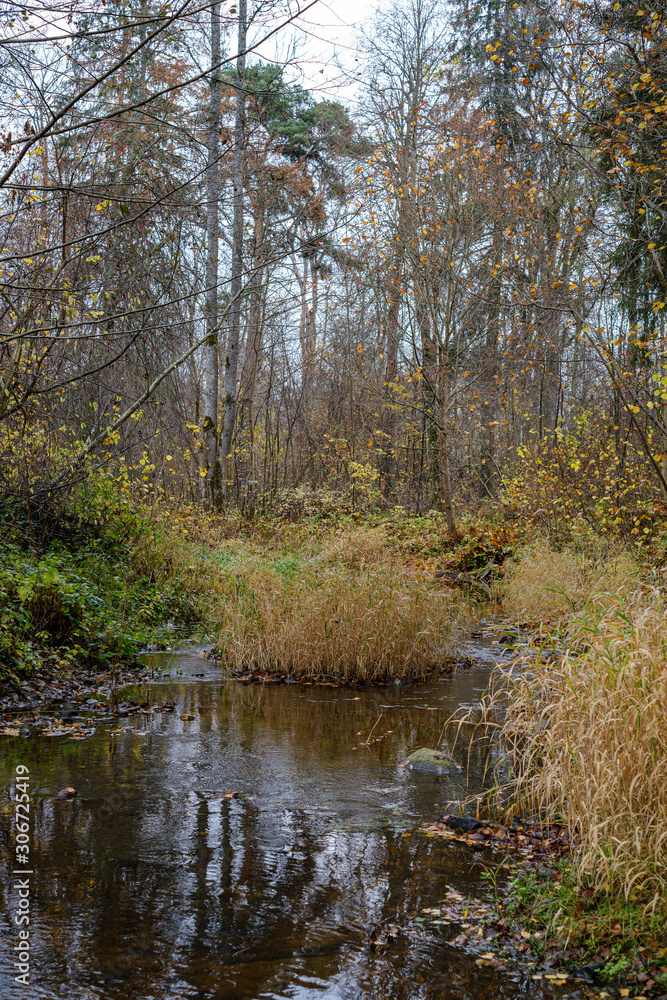small forest lake in countryside with water reflections small forest lake in countryside with water reflections