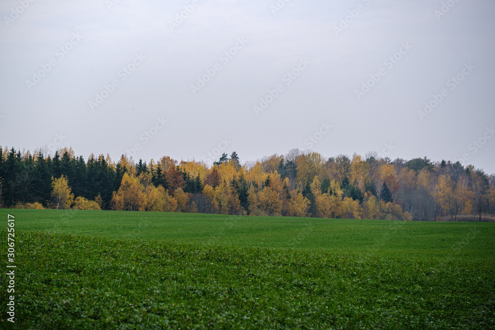 countryside fields and meadows in autumn. scenic view