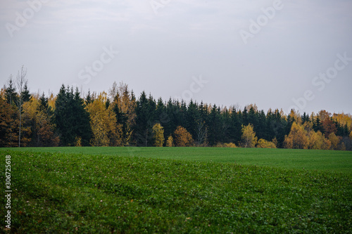 countryside fields and meadows in autumn. scenic view
