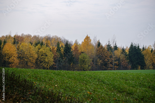 countryside fields and meadows in autumn. scenic view © Martins Vanags