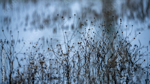 abstract texture from natural materials in wet autumn day