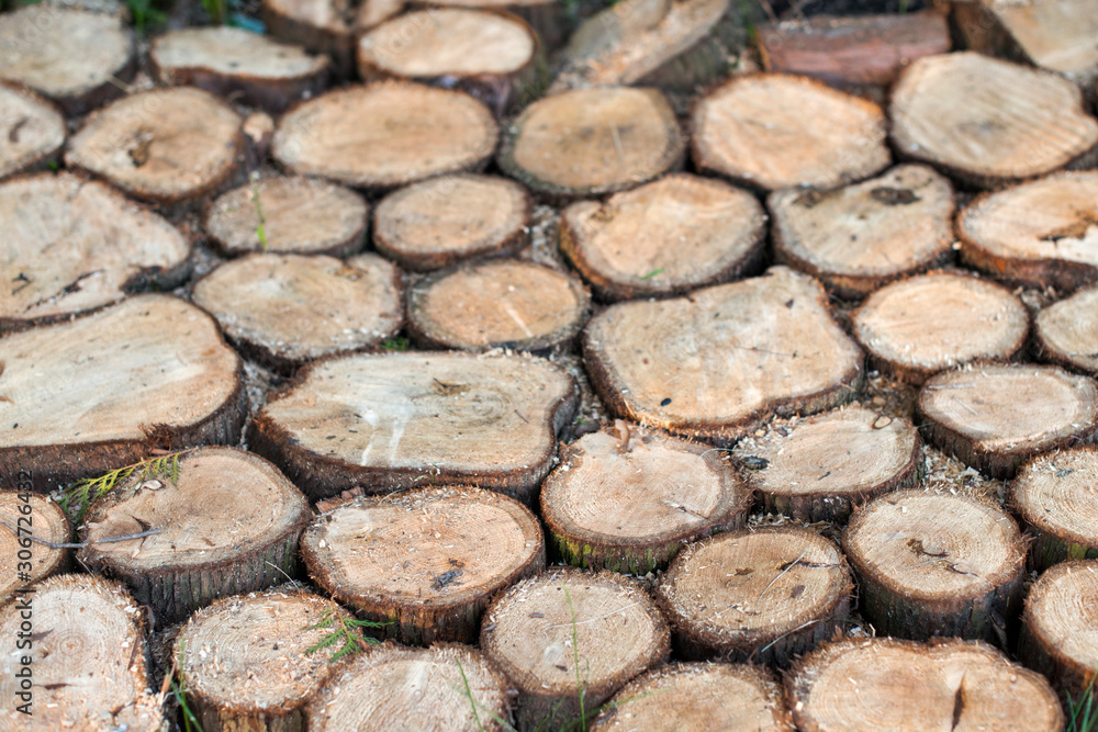 wooden walkway. texture with wood. wooden walkway. texture with wood.