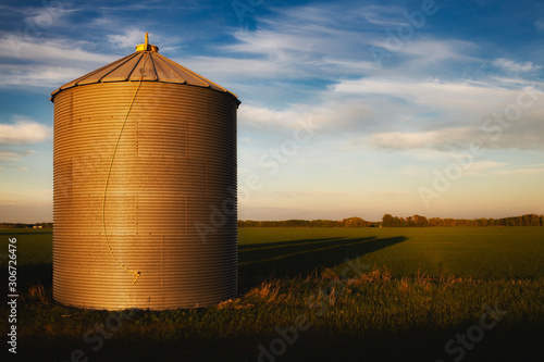 One steel grain bin in a green agriculture field in a summer countryside sunset landscape