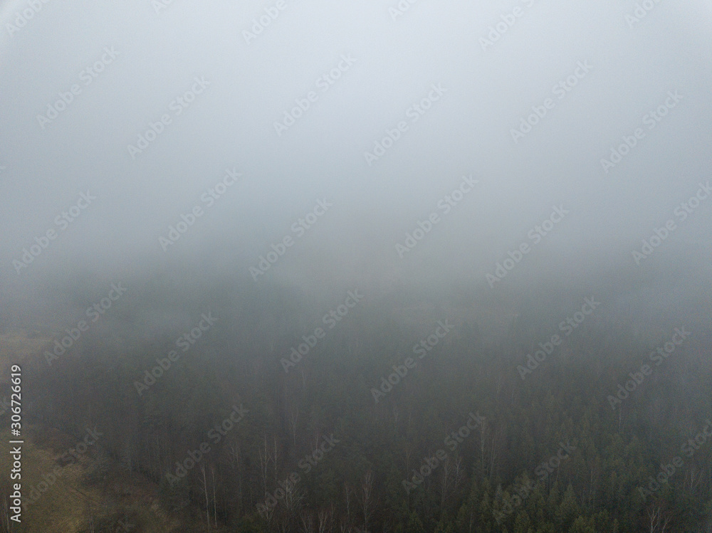 fog over forests and lakes in countryside. drone image from above fog over forests and lakes in countryside. drone image from above