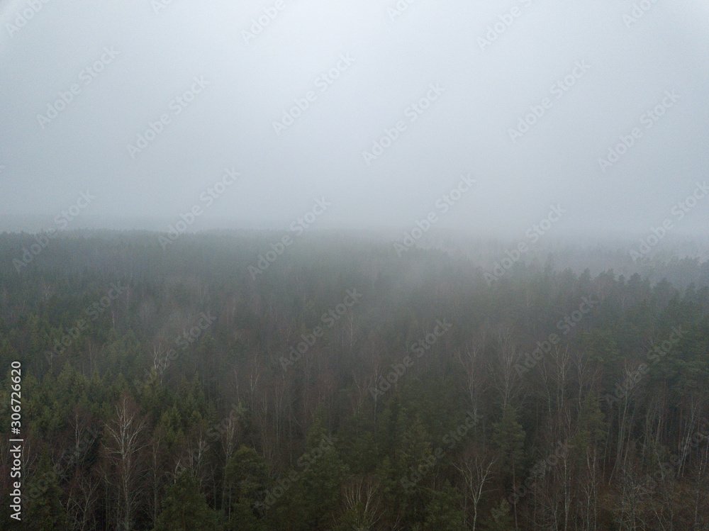 fog over forests and lakes in countryside. drone image from above