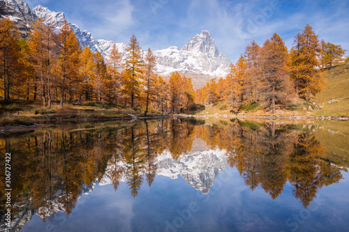 the last light of day on the larches colored from autumn to the Blue Lake near Breuil-Cervinia, Aosta, Italy