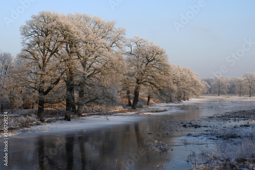 winter landscape with river and trees © singerfotos