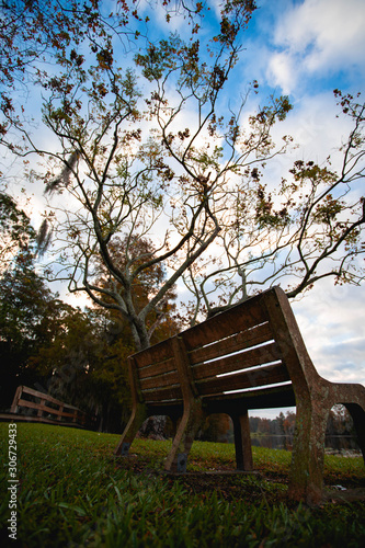 bench in the park with a tree in the left side 