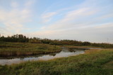 Evening On The Wetlands, Pylypow Wetlands, Edmonton, Alberta
