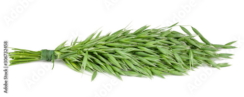 Green oat ears isolated on white background