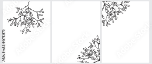 3 Vector Illustrations with Black Hand Drawn Sprigs of Mistletoe Isolated on a White Background. Lovely Christmas Vector Prints Ideal for Card, Invitation, Greeting, Poster, Wall Art, Tag, Label.
