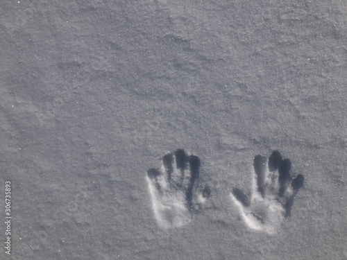 hands prints imprinted in the fresh snow, mountain, winter, alps