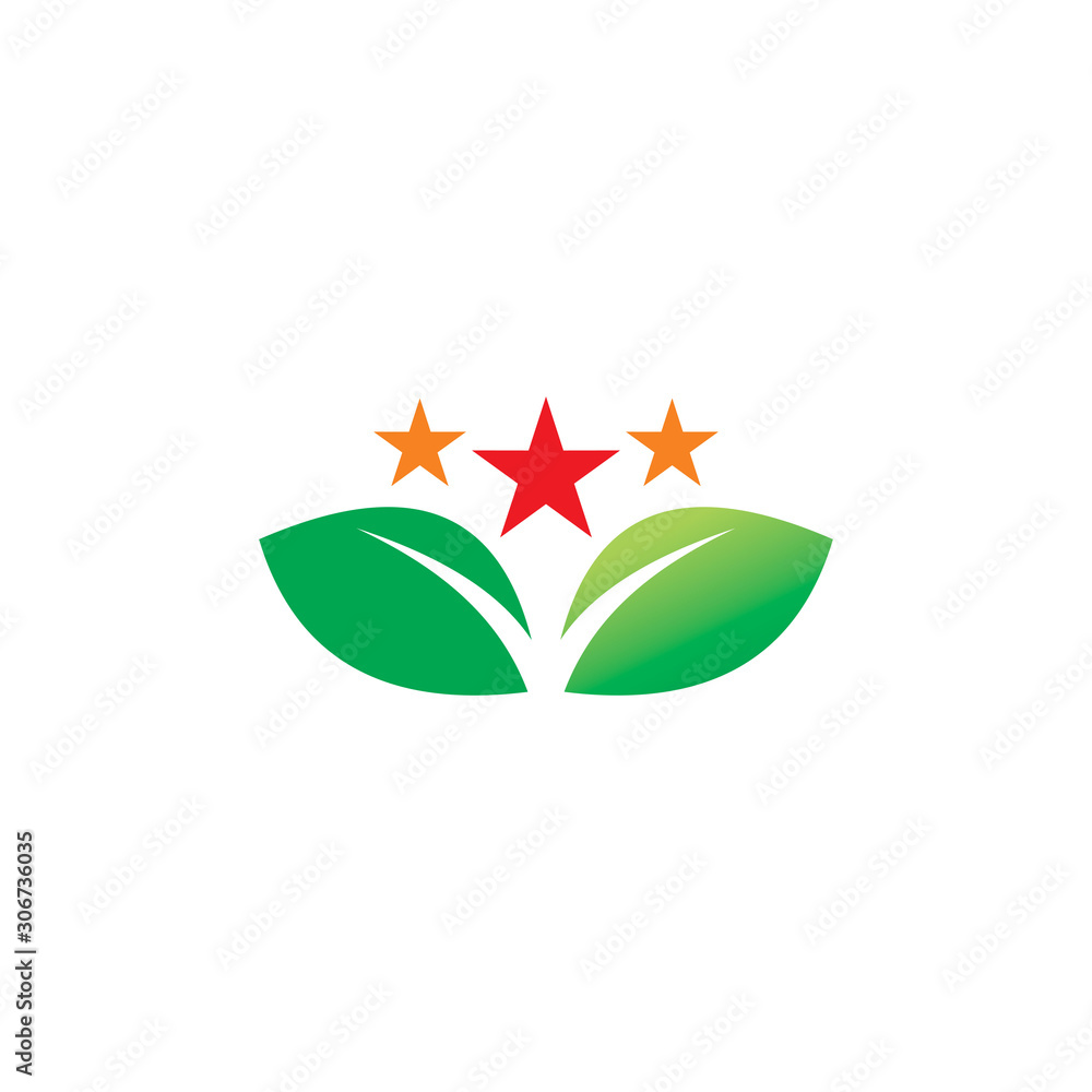 color leaf star logo design