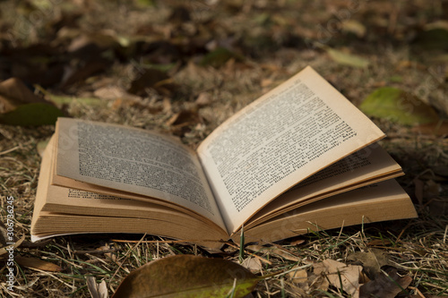 book on the autumn leaves at the outside.