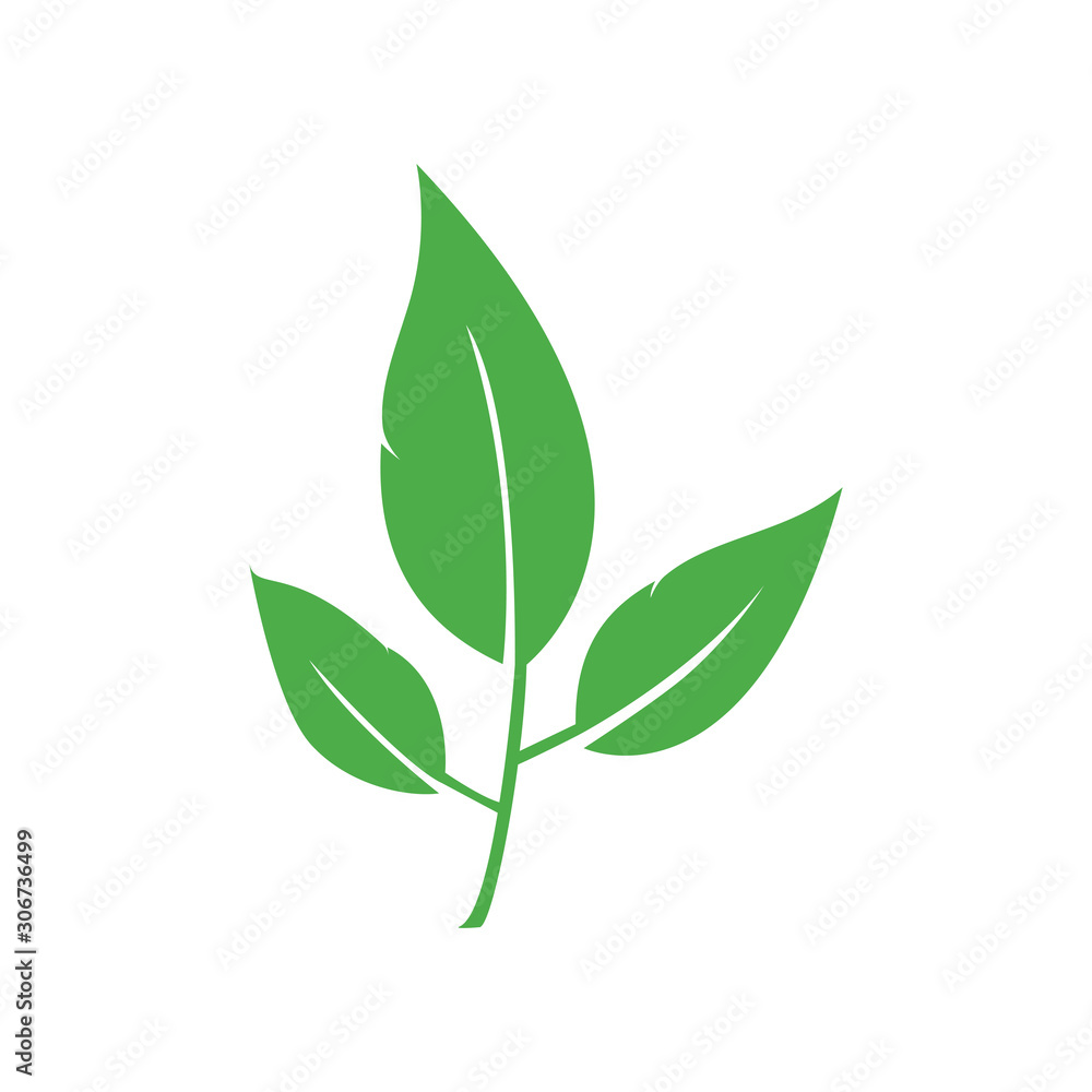 leaf vector leaf vector