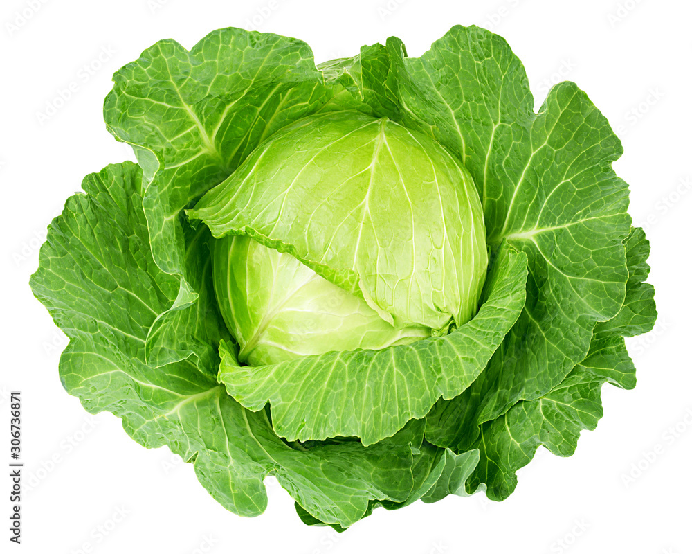 cabbage isolated on white background, clipping path, full depth of field cabbage isolated on white background, clipping path, full depth of field