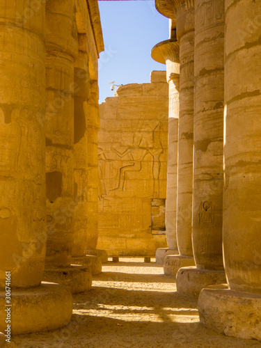 Pillars with hieroglyphics in the Ramesseum Temple in Luxor, Egypt