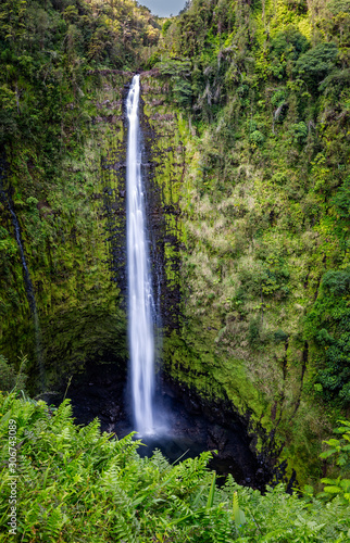 Akaka falls drops 440 feet into a pit in Hawaii