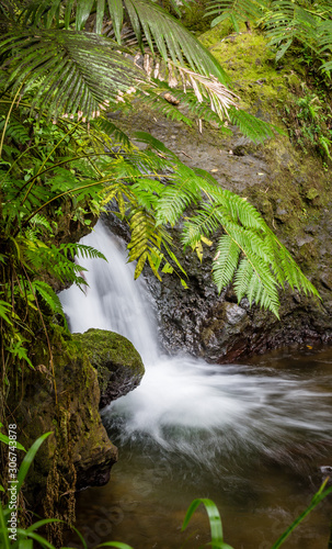 Gental tropical waterfall in botanical garden in Hawaii