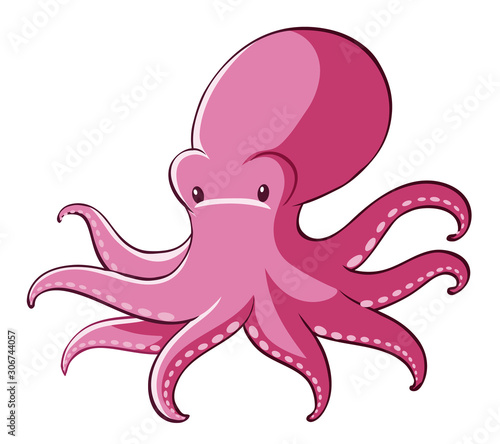 Pink octopus on white background