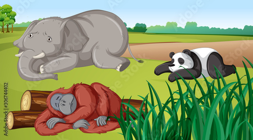 Scene with three animals in the field