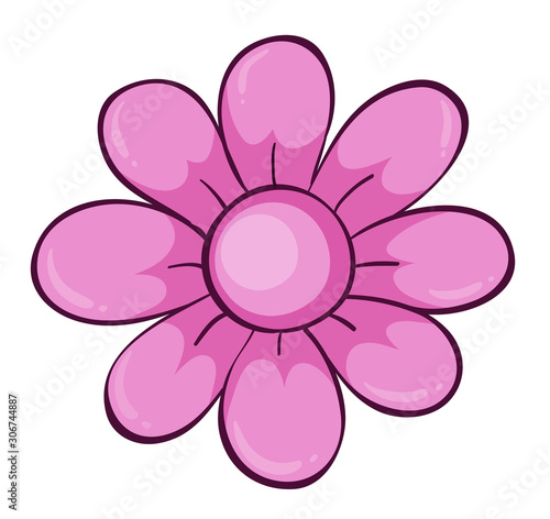 Single flower in pink color