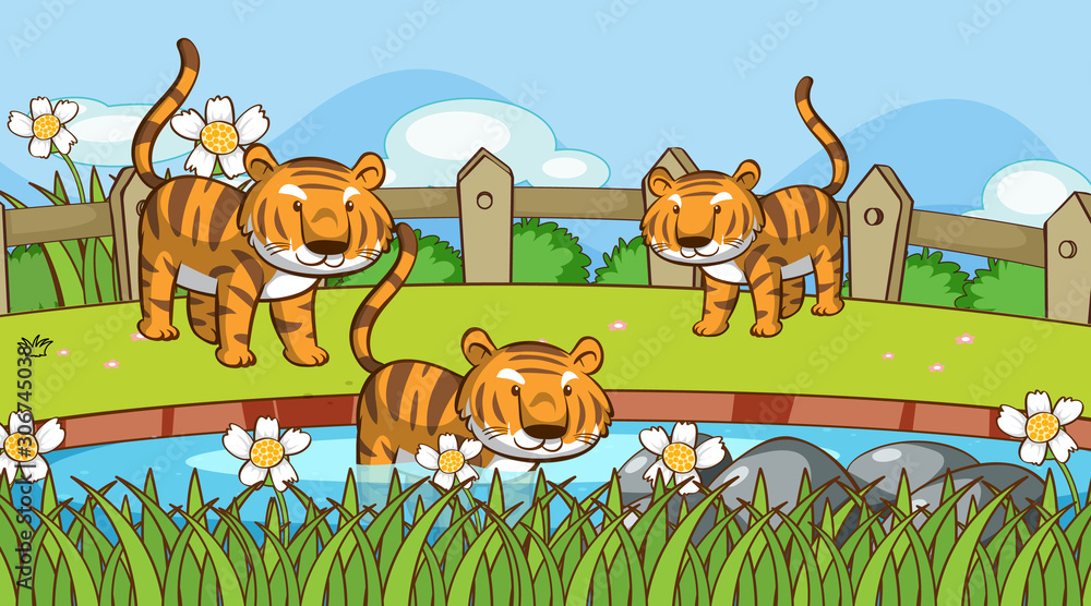 Naklejka premium Scene with tigers in garden