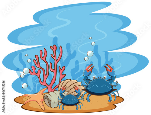 Scene with two crabs under the sea